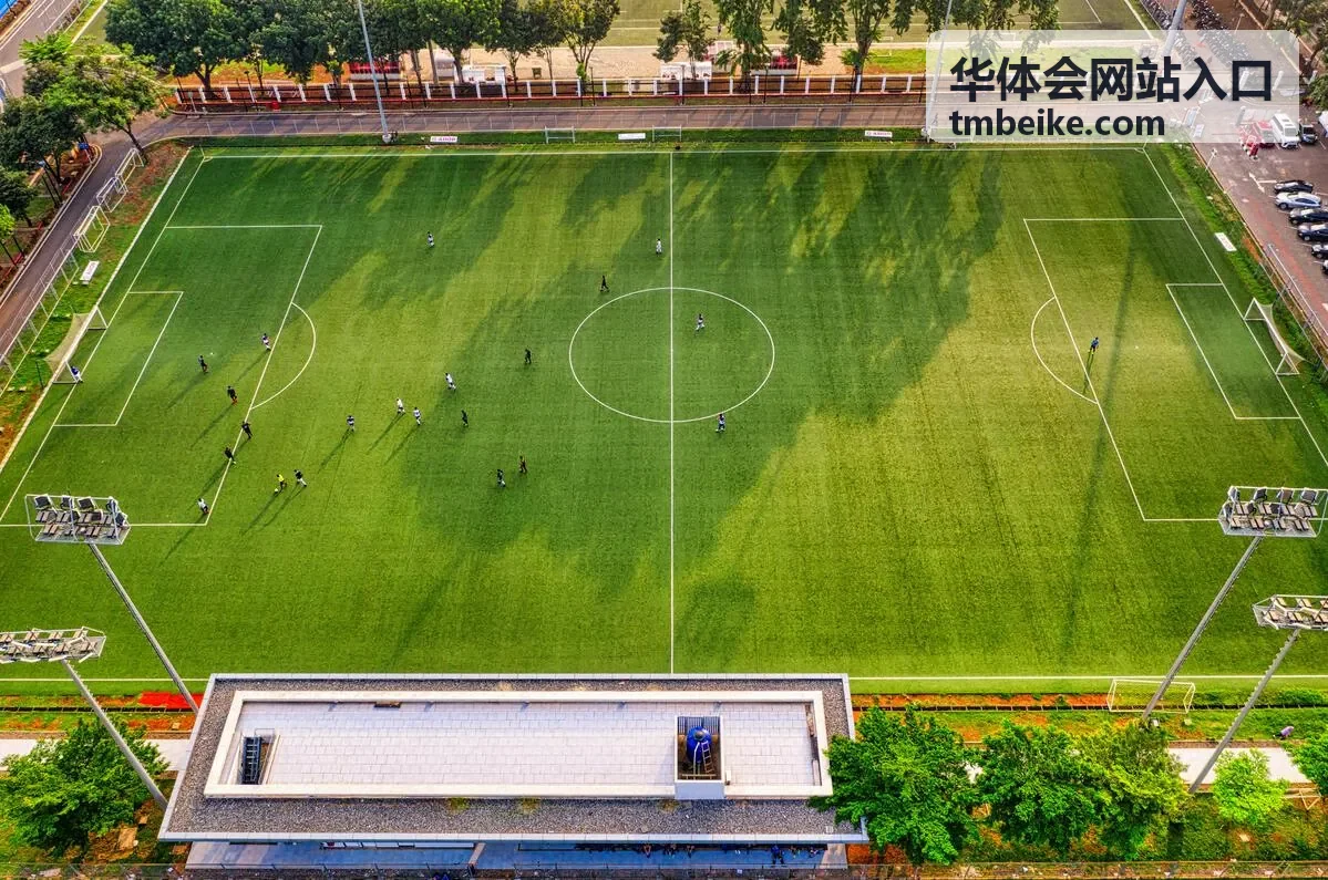 华体会网站入口页面打不开时的自检顺序