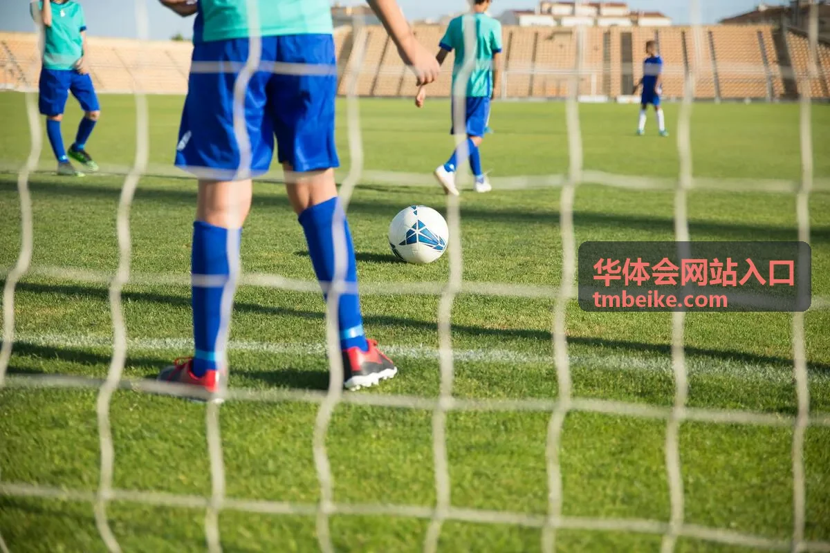 华体会网站入口平板与折叠屏显示适配说明