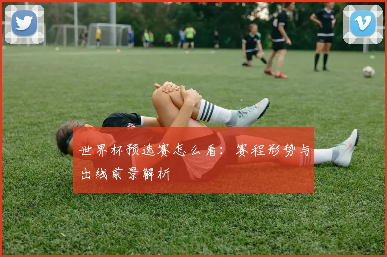 世界杯预选赛怎么看：赛程形势与出线前景解析