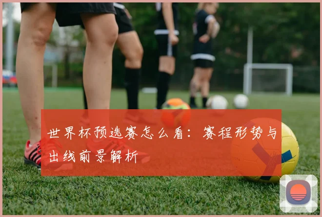 世界杯预选赛怎么看：赛程形势与出线前景解析