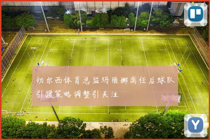 切尔西体育总监玛丽娜离任后球队引援策略调整引关注