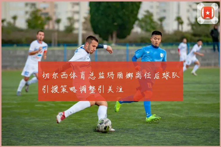 切尔西体育总监玛丽娜离任后球队引援策略调整引关注