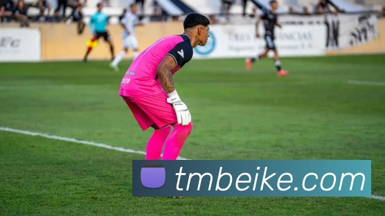 滚球买球的app服务体系